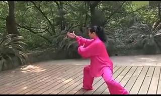 杨式太极拳85式